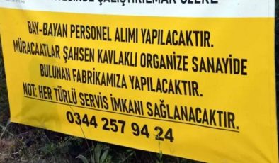 Fabrikalar çalıştıracak işçi bulamıyor; ‘Alman modeli gelsin’