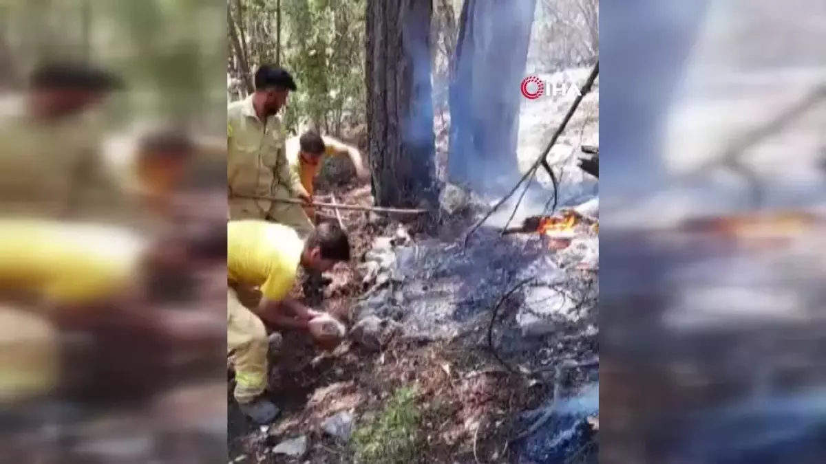 Kumluca’daki Orman Yangını Kontrol Altında